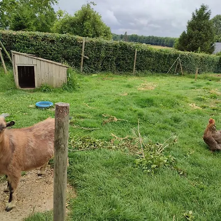 Gite Gites De France - Le Gite De La Foret Holiday home *