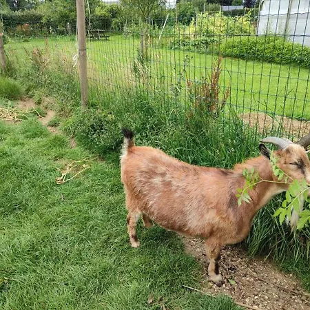 Gite Gites De France - Le Gite De La Foret Holiday home Pommereval