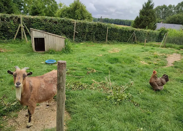 De France - Le De La Foret Dom wakacyjny *