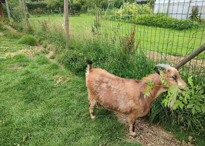 Gite Gites De France - Le Gite De La Foret Holiday home Pommereval