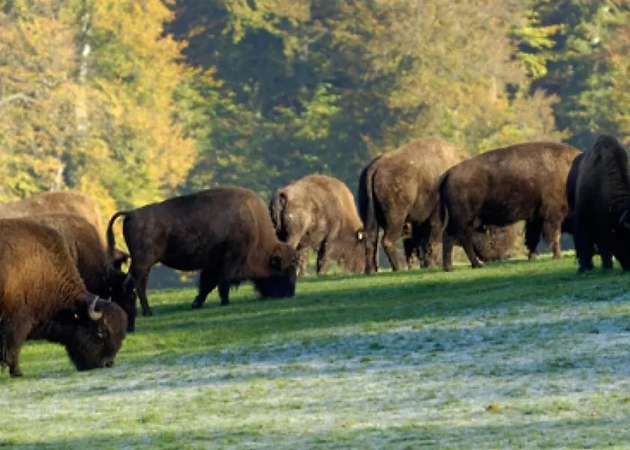 Gite Gites De France - Le Gite De La Foret Holiday home Pommereval